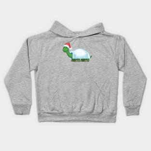 Igloo Tortoise Kids Hoodie